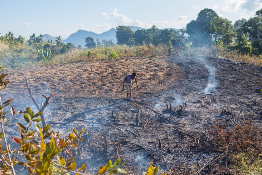 Toxic blaze the true cost of crop burning